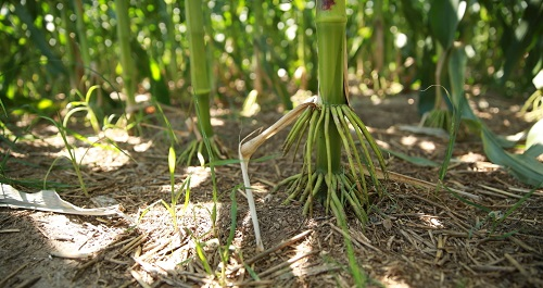 1645154887389600.png image.png