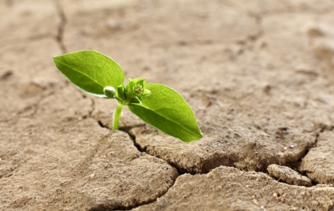 土壤肥料檢測(cè)儀怎么用？